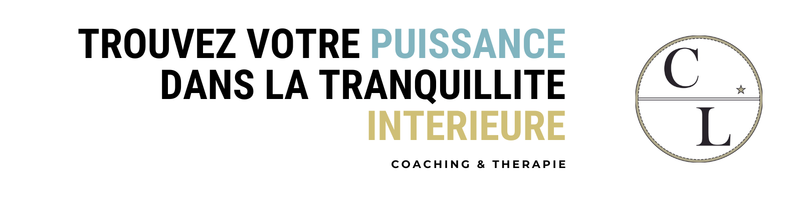 Bannie re linkedin professionnelle noir et blanc