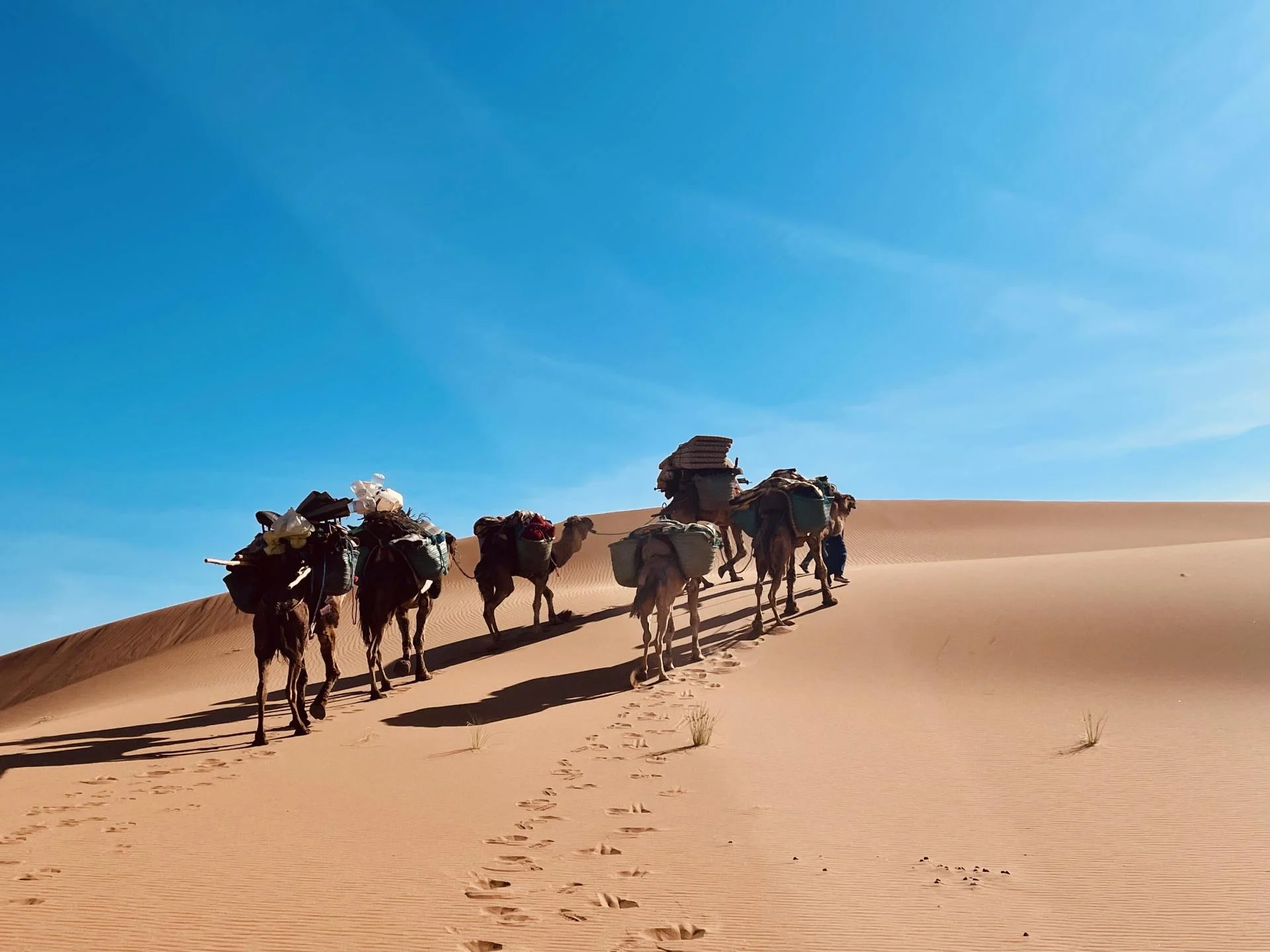 Marche dans le désert